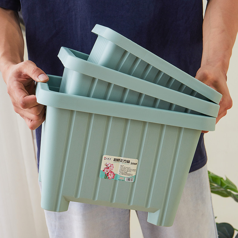 正方形朱顶红花盆加厚阳台种菜专用箱塑料矮形花盆种球根植物花盆,鲜花速递/花卉仿真/绿植园艺,花盆,淘宝优惠券,粉丝福利购,淘宝优惠卷