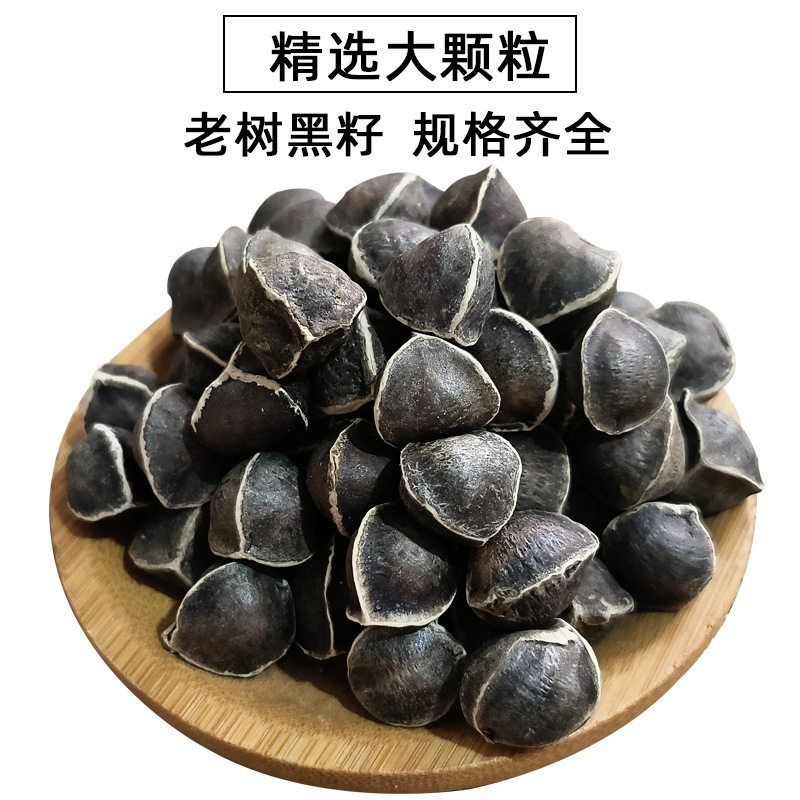 辣木籽人工挑选正宗原产地印度黑