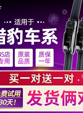 原装猎豹CS10雨刮器CS9黑金刚CS7飞腾C5奇兵CS6迈途Mattu雨刷片Q6