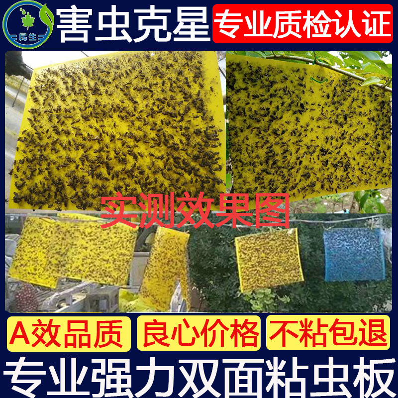 粘虫板黄板包邮双面蓟马板蓝板诱虫板黄色小黑飞家用农用大棚专用