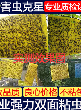 粘虫板黄板包邮双面蓟马板蓝板诱虫板黄色小黑飞家用农用大棚专用
