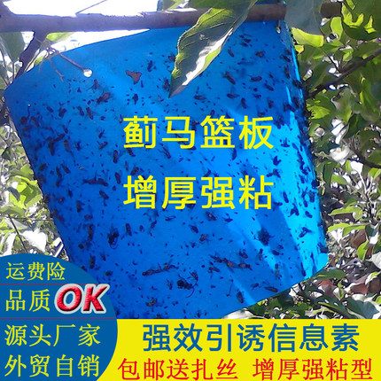 蓝色粘虫板包邮双面蓟马板蓝板诱虫板农用大棚专用果树园茶园菜园