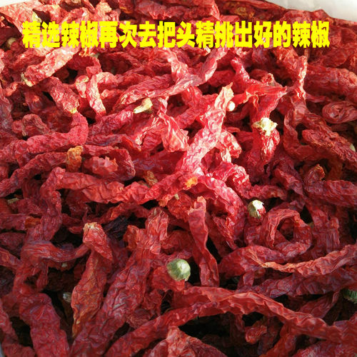 中辣特香二荆条精选辣椒