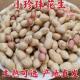 精选5斤小珍珠花生新货带壳炒原味核桃蒜香多味熟花生1斤零食