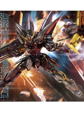 万代高达MG 1/100 SEED BLITZ GUNDAM闪电 闪击 迅雷敢达五小强