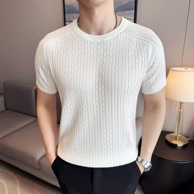 麻花短袖针织衫男薄款圆领打底衫