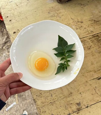 一号链接替代链接 50枚59.8元当天发走