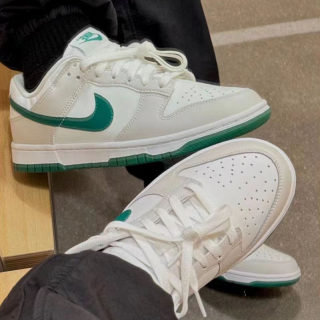 Nike耐克 DUNK LOW男子低帮经典百搭轻便运动休闲板鞋DD1391-602