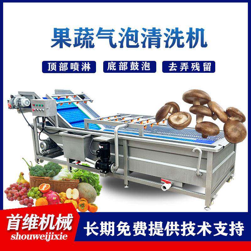果蔬商用气泡清洗机余甘子清洗机连续式鲜毛桃黄桃翻浪清洗设备