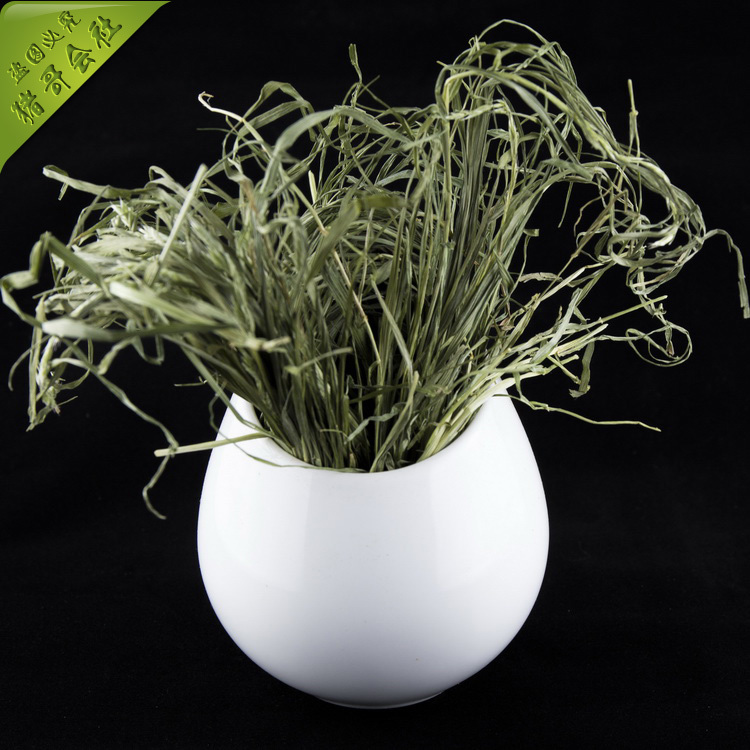 多用途可固定陶瓷草架 防咬 易清理 可当仓鼠 蜜袋 鼯飞鼠 陶瓷窝