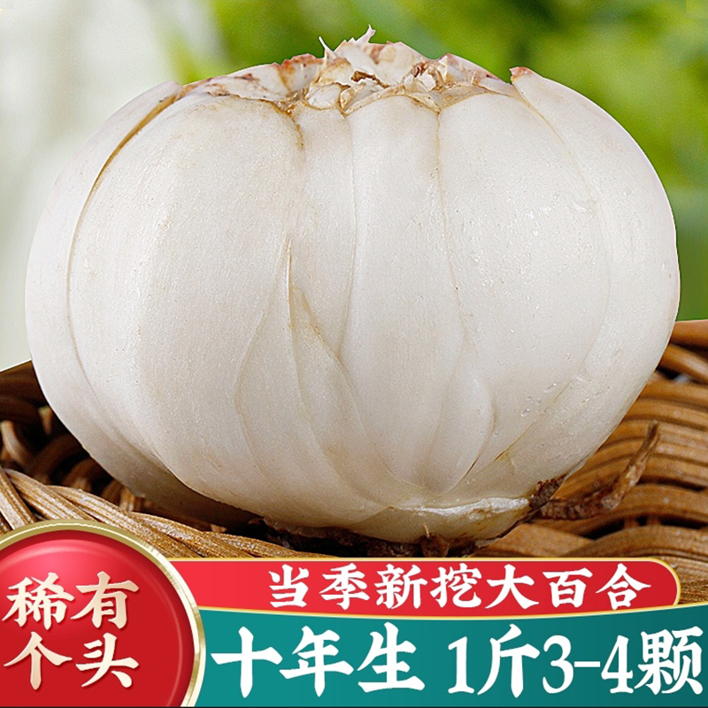 陇卉百合食用甜百合新鲜