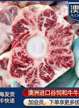 澳嘉3斤澳洲进口和牛牛尾骨牛尾巴炖汤煲汤红烧炖煮煲汤原切