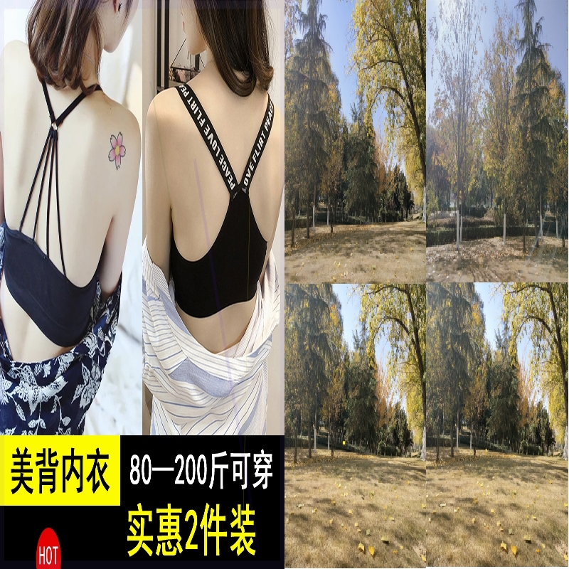 新款丰胸内衣电动震动按摩仪增大乳房聚拢揉捏按摩器女文胸