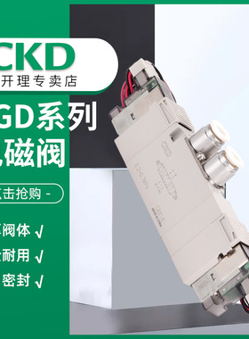 CKD电磁阀4GE229R-00-E21-3/Z
