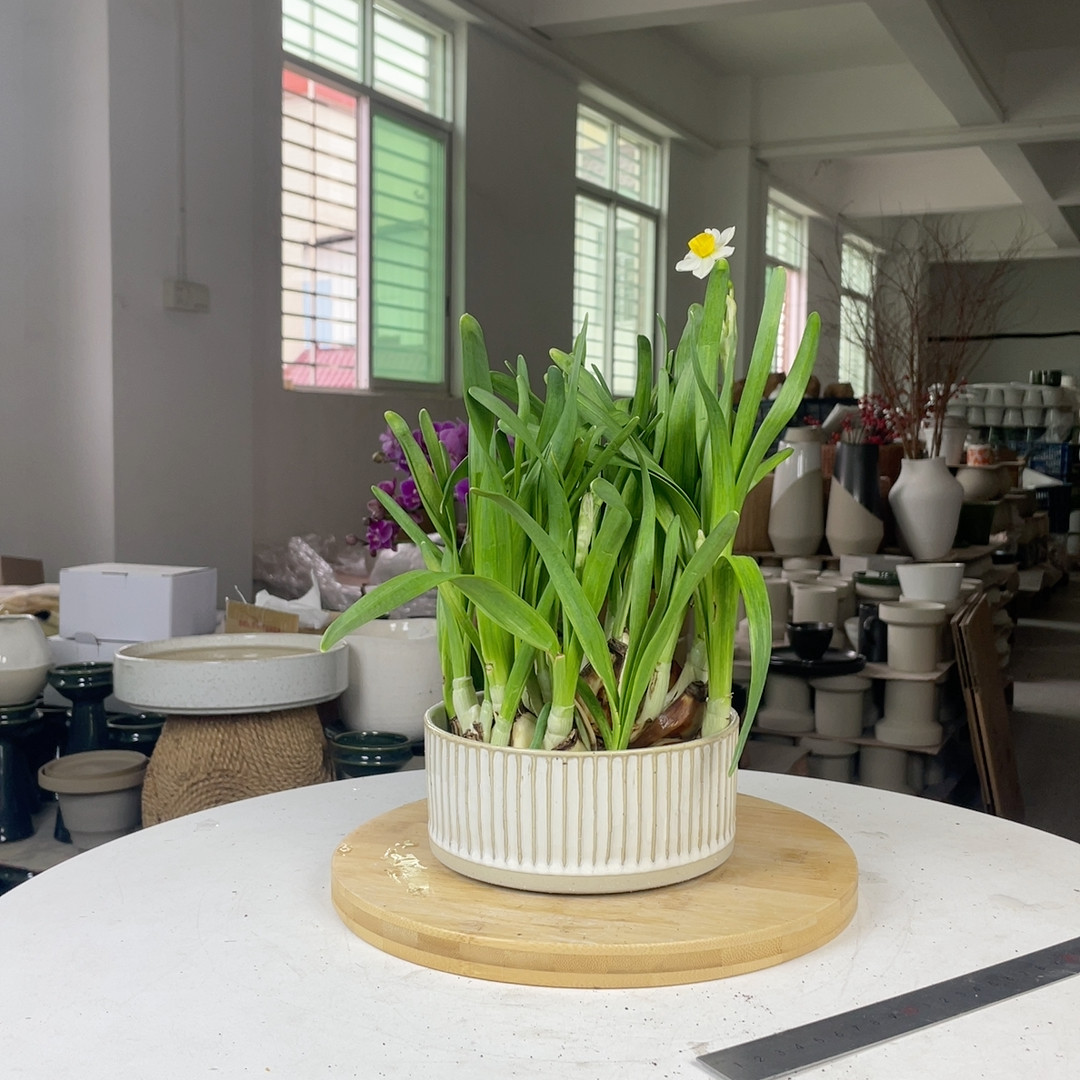 直径16竖纹高碗水仙花盆不含花,鲜花速递/花卉仿真/绿植园艺,花盆,淘宝优惠券,粉丝福利购,淘宝优惠卷