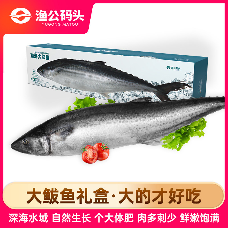 渔公码头大连鲅鱼鲜活冷冻8斤整条深海大马鲛鱼海鲜礼盒年货礼包,水产肉类/新鲜蔬果/熟食,海鲜水产礼盒套装,淘宝优惠券,粉丝福利购,淘宝优惠卷