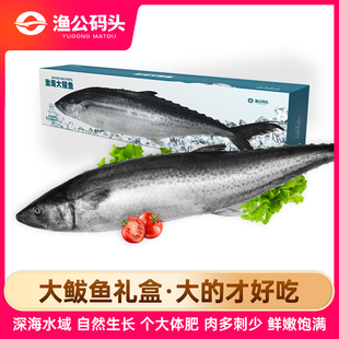 渔公码头大连鲅鱼鲜活冷冻8斤整条深海大马鲛鱼海鲜礼盒年货礼包