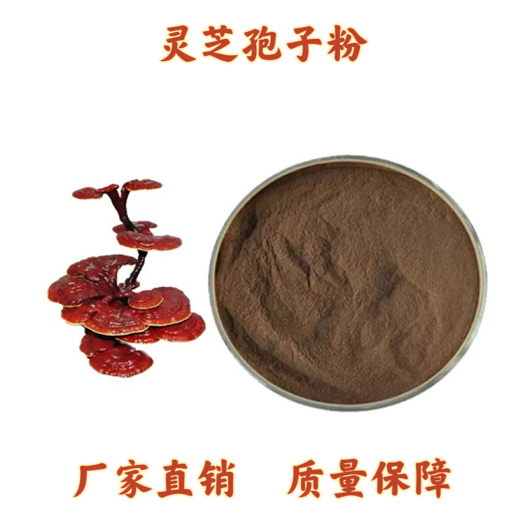 灵芝孢子粉 破壁率大于98% 灵芝三萜 厂家直发 源头工厂 赠送量勺