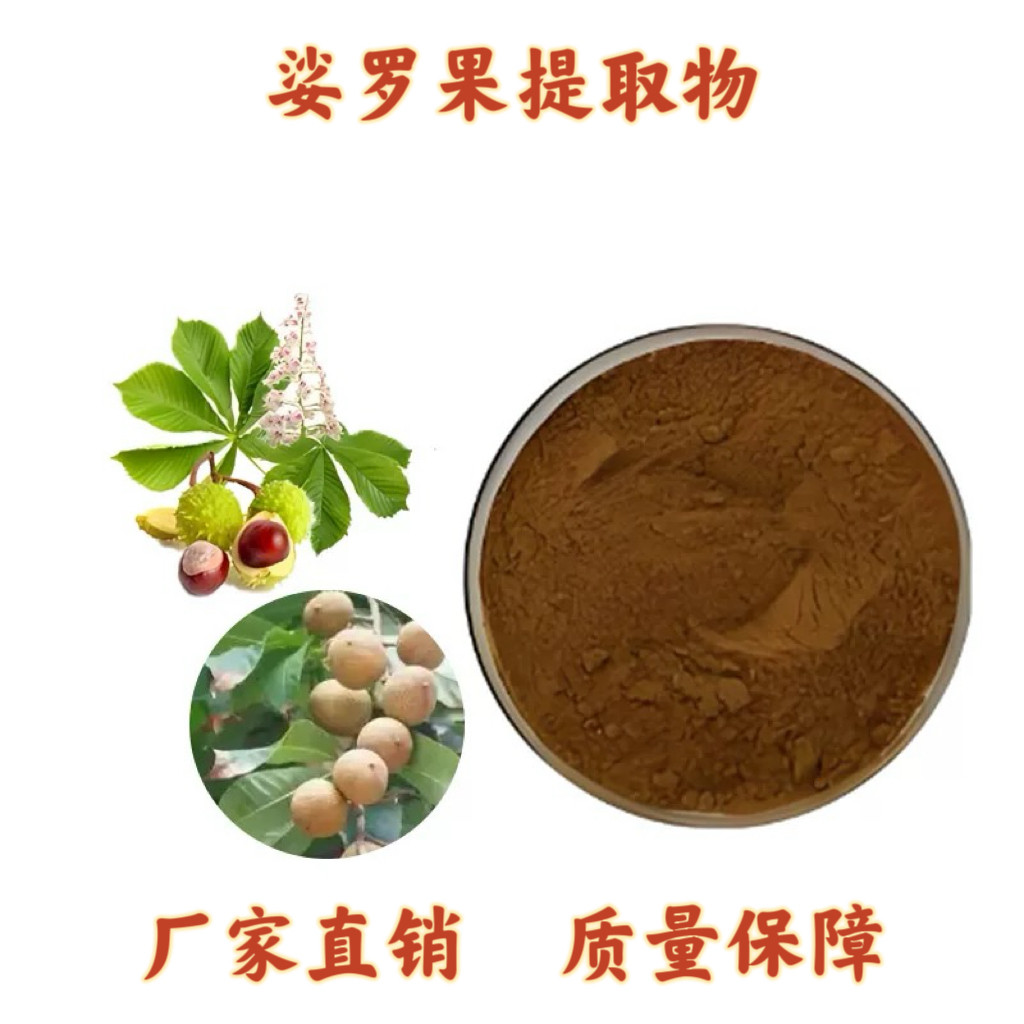 娑罗果提取物 30:1 娑罗子提取物七叶树种子提取物粉源头工厂现货