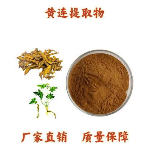 黄连提取物 30:1 黄连粉 盐酸小檗碱 黄连素97% 浸膏浓缩精华粉末