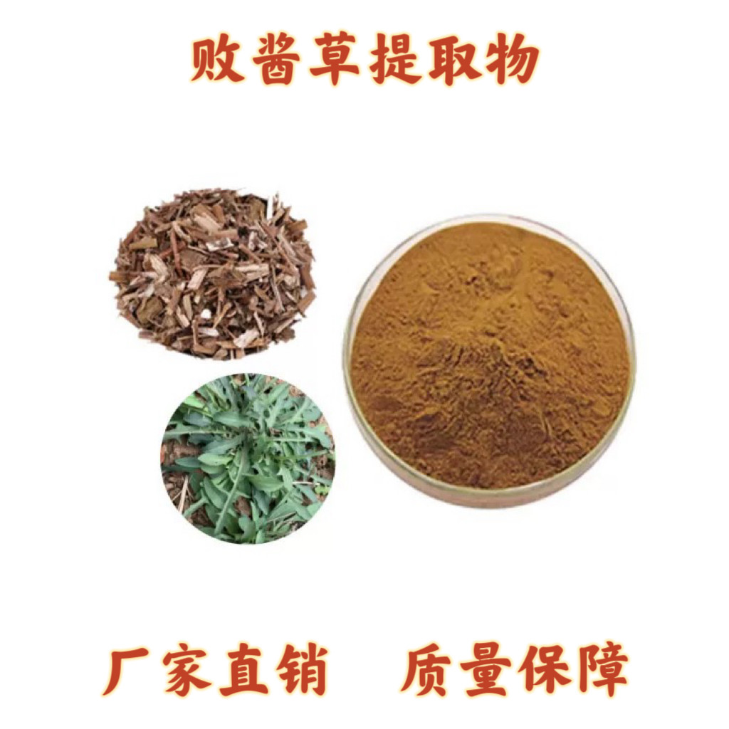败酱草提取物 苦菜节托莲败酱草浓缩精华粉末现货供应高质量包邮