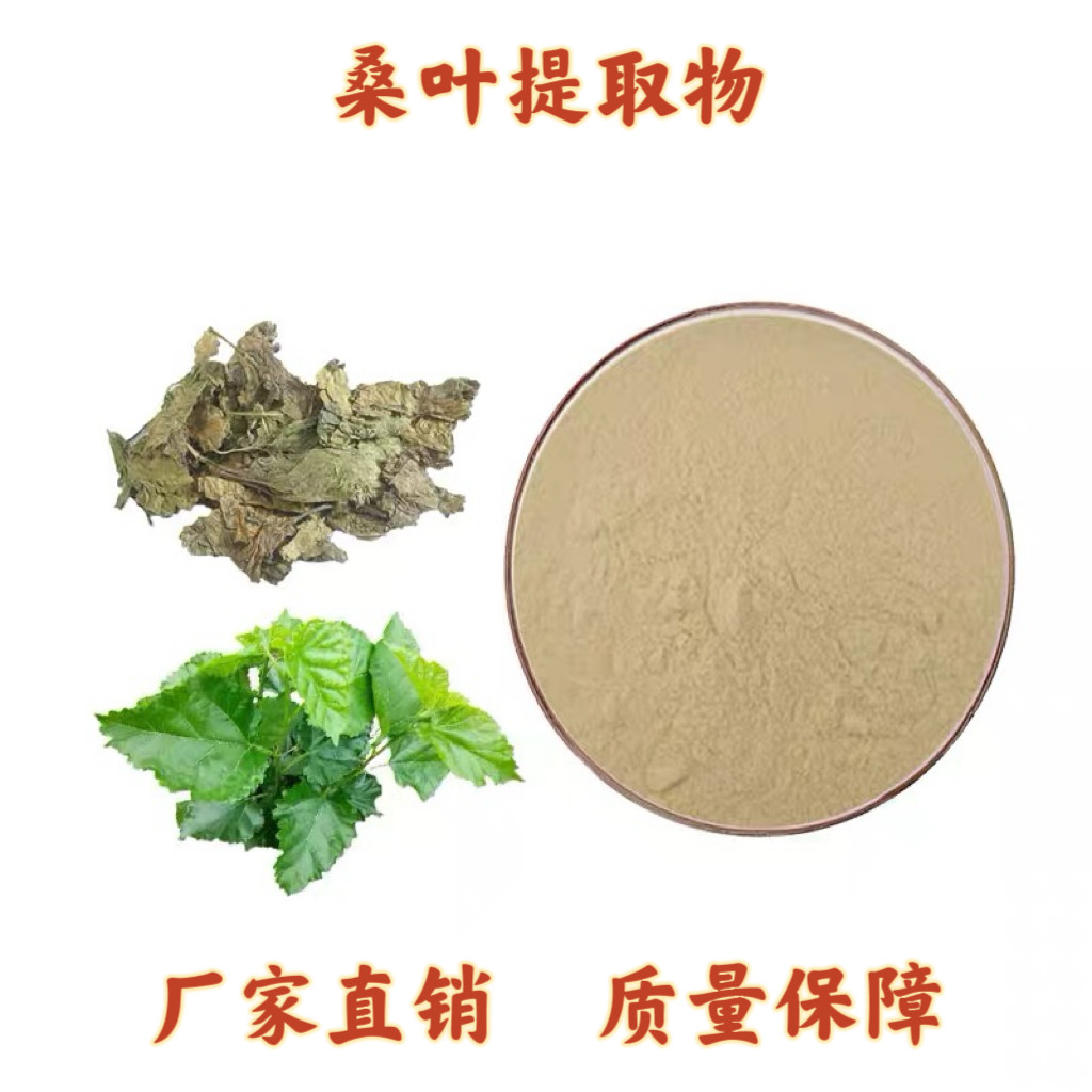 桑叶提取物20:1 霜桑叶提取物粉末 mulberry leaf extractDNJ1%