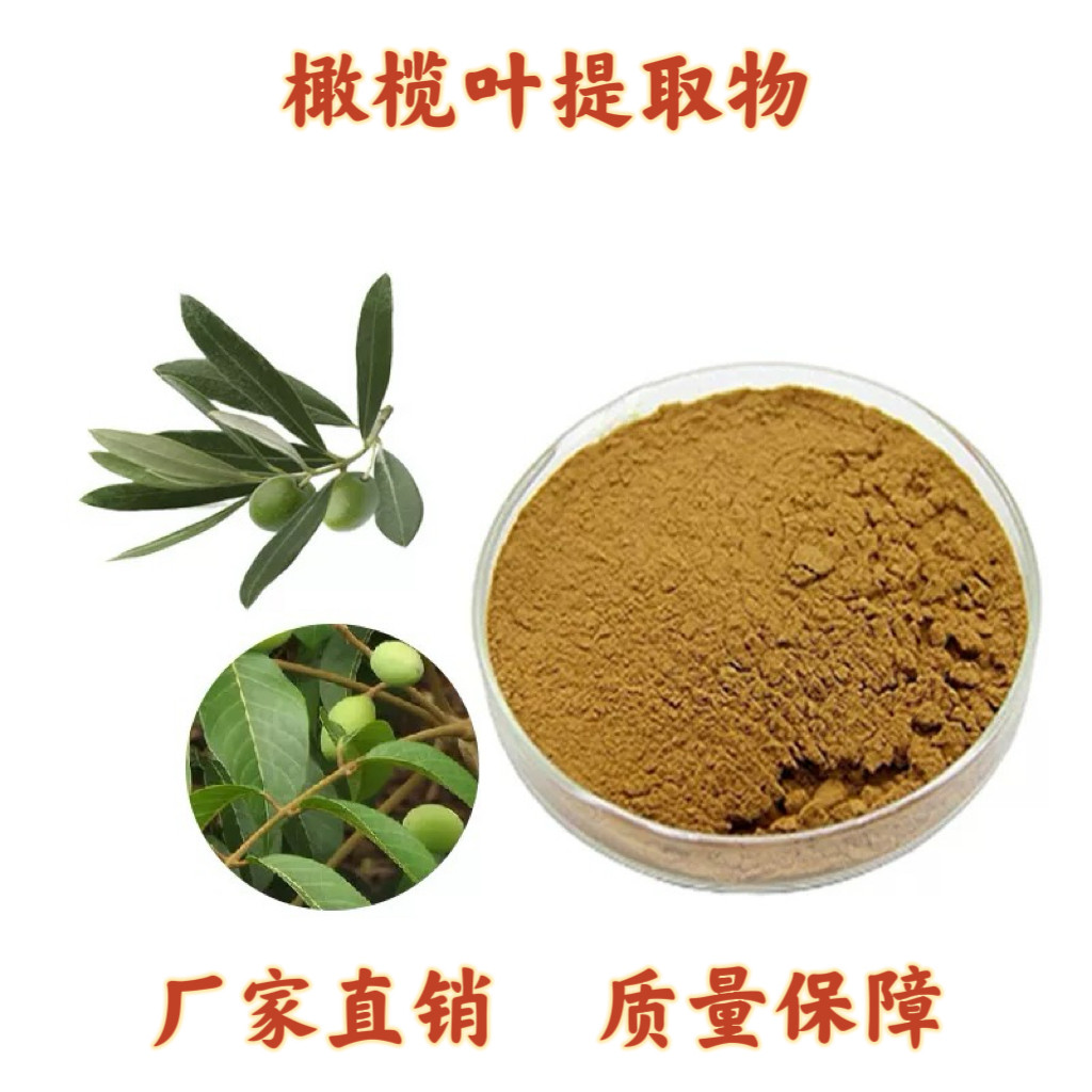 橄榄叶提取物 山楂酸 油橄榄叶苦甙 提取物 橄榄叶萃取精华浓缩粉
