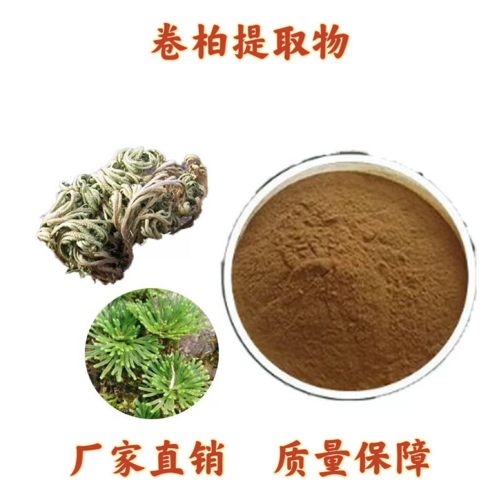 卷柏提取物 30:1卷柏黄酮粉末10% 植物萃取粉末 源头工厂包邮