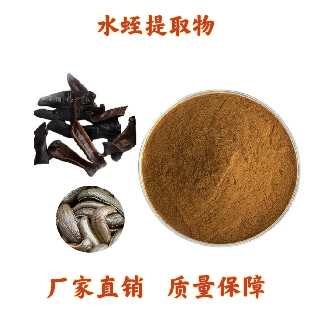 水蛭提取物 蚂蟥水蛭浓缩粉末 水蛭素精华提取物30:1 赠送量勺