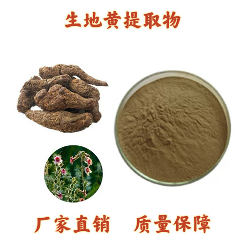生地提取物 天然生地黄提取物浓缩粉末20:1地黄多糖60% 厂家直发