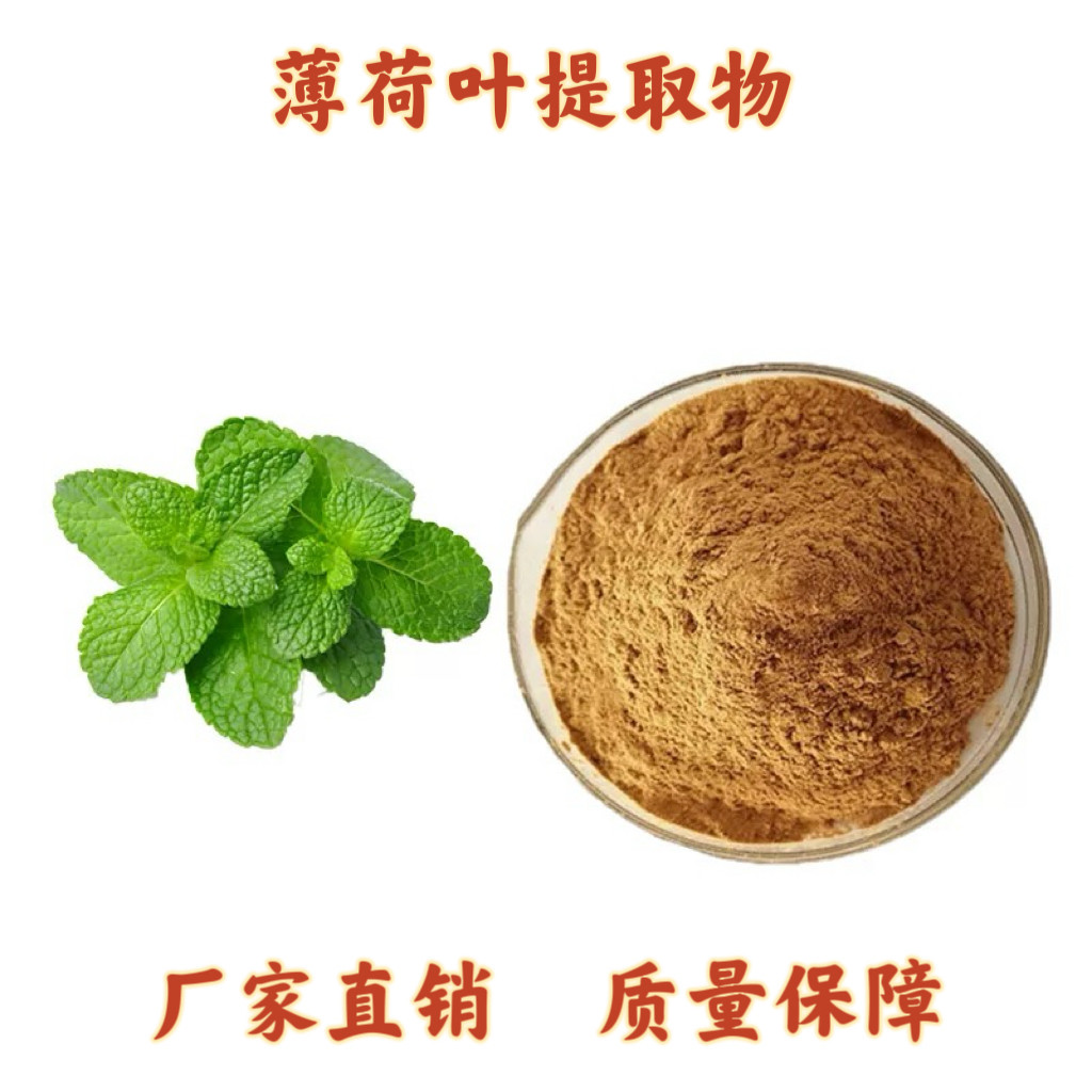 薄荷提取物 野薄荷叶浓缩萃取提取物 清凉薄荷醇工厂源头厂家直发