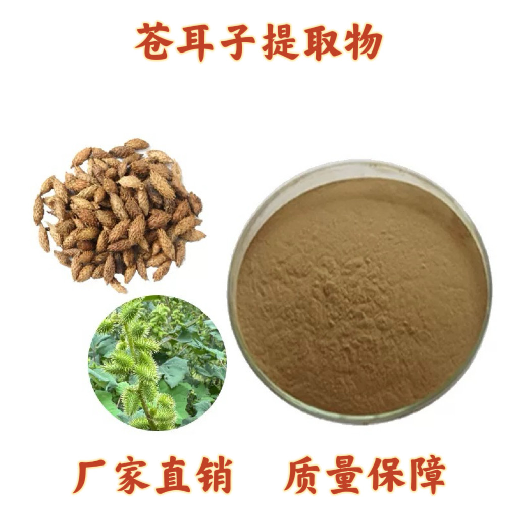 苍耳子提取物30:1 苍耳子粉 天然植物提取物浓缩粉末赠量勺速发