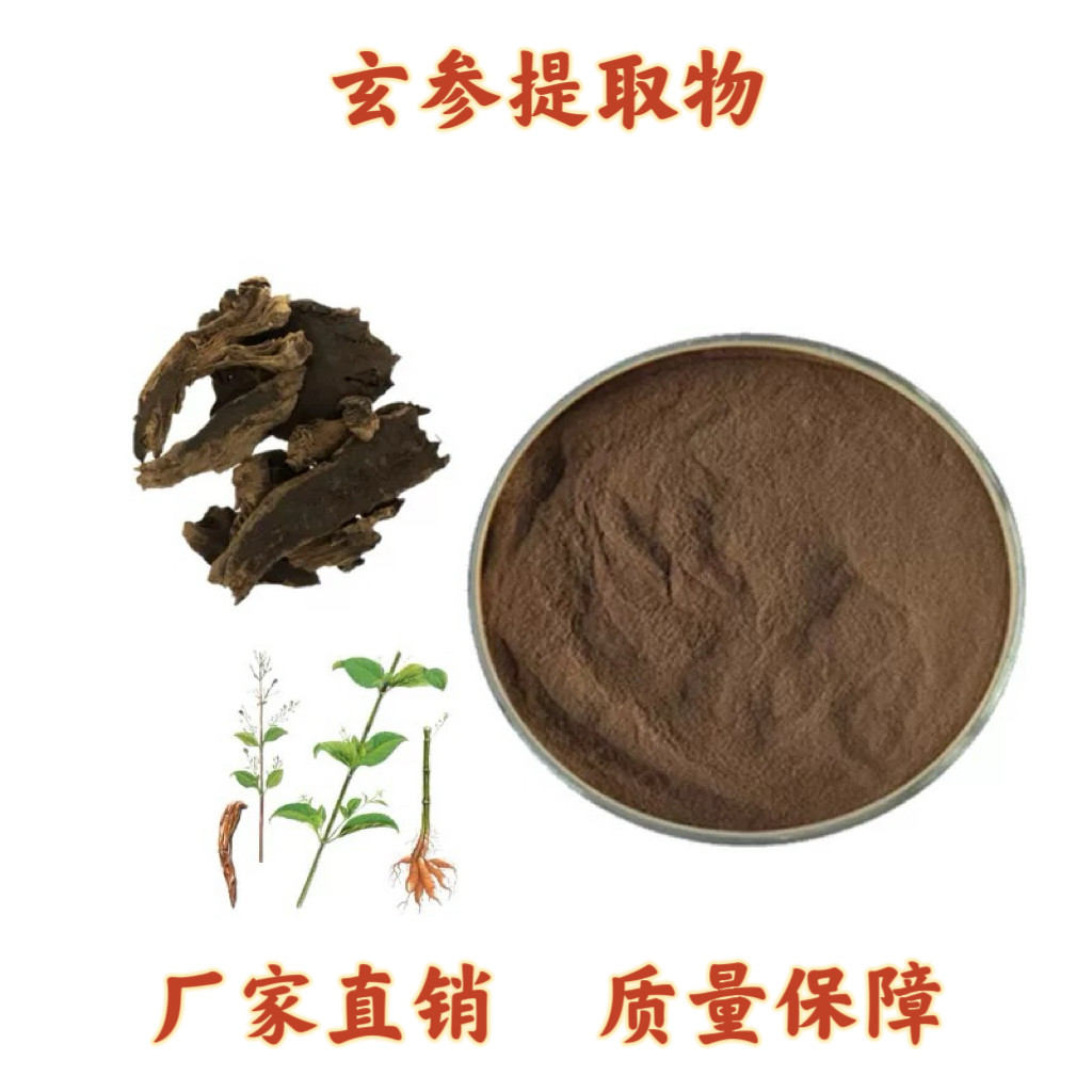玄参提取物 20:1 比例萃取元参/黑参提取物 植物浓缩精华粉末速发