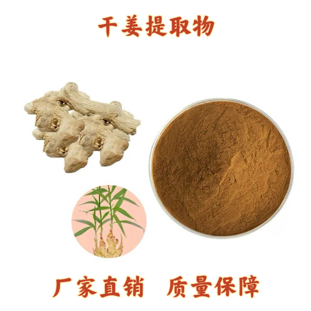 干姜提取物30:1 白姜均姜干姜片提取物浓缩粉末精华 干姜粉现货