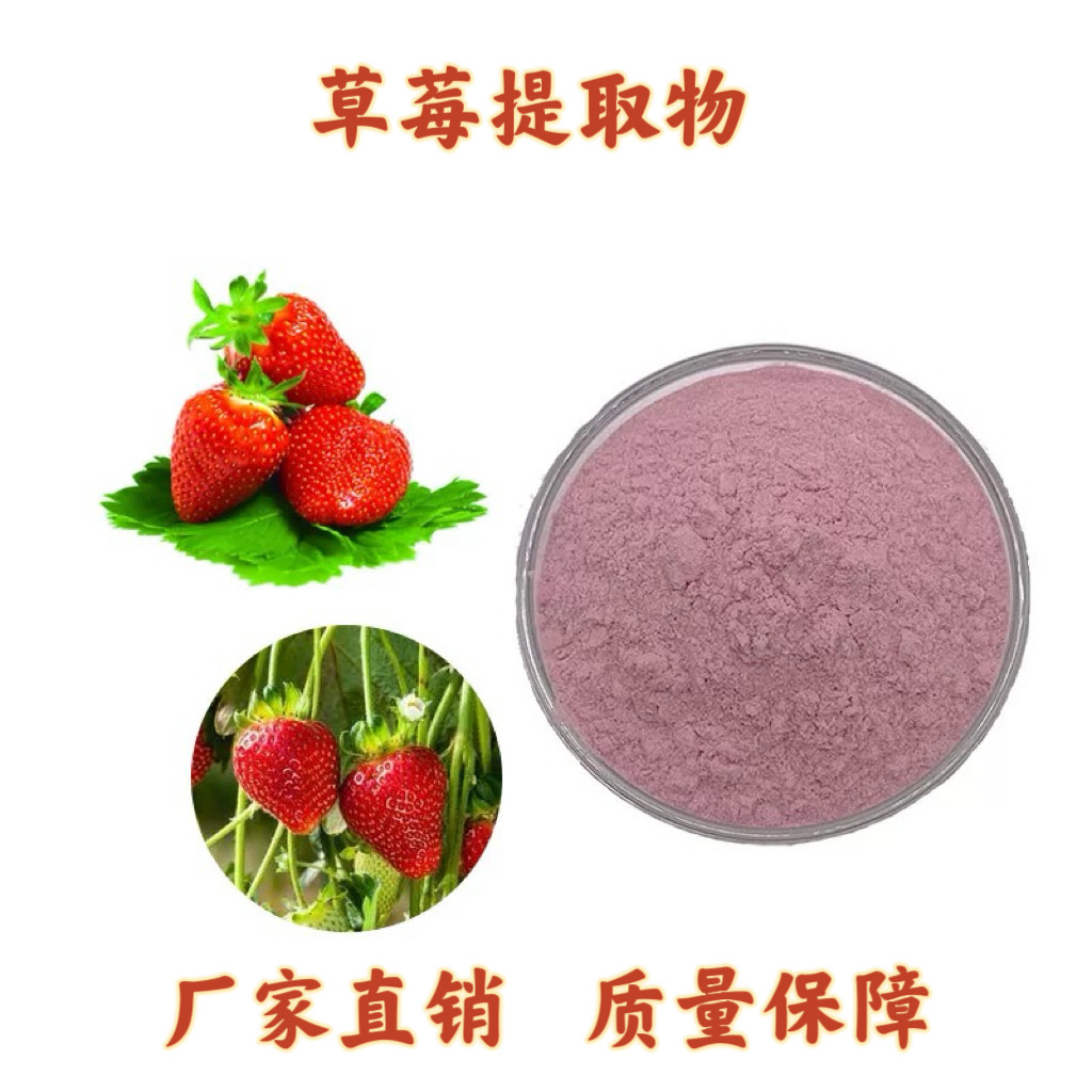 草莓提取物 草莓果粉果蔬酵素 固饮提取物粉末浓缩精华粉末 速发