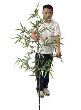 仿真竹子绿植造景m组合竹林景观布置室内假植物酒店橱窗装饰造景