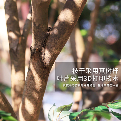 仿真树大型榕树绿植落地假树室内实木景J观树商场橱窗别墅造景装