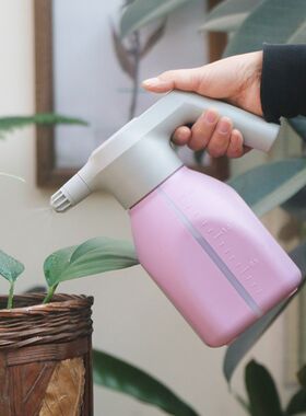 电动喷雾器消毒电喷壶浇水用小型喷雾壶新式充电家X用高压喷水壶