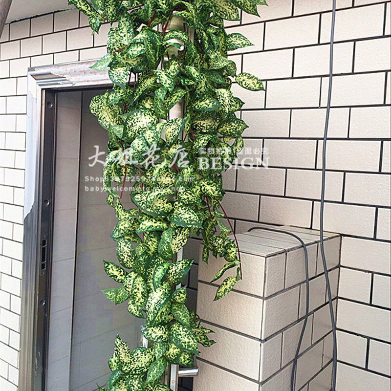 高档仿真星点g木藤常春藤黄金葛藤植物墙绿色壁挂仿真藤蔓叶藤条