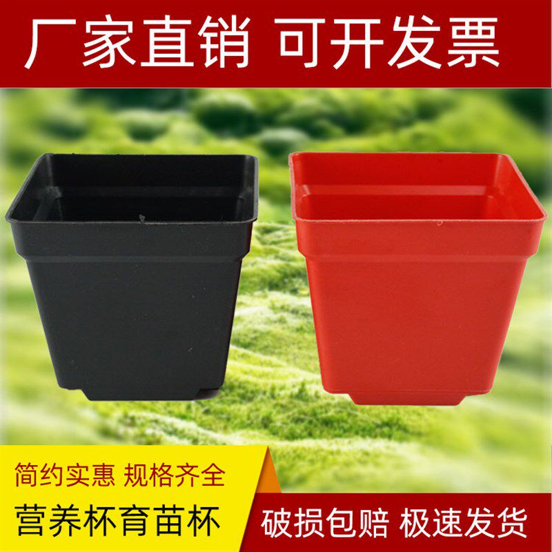方型育苗杯塑料花盆瓶方型营养杯钵园艺I盆栽绿植育苗培植专用红