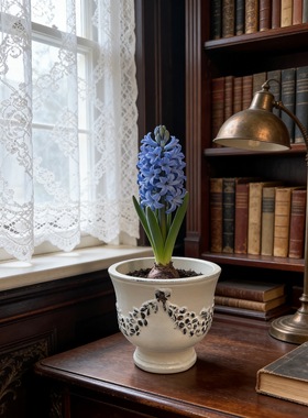 欧式链白色前杯27×26红陶花盆 花园陶盆朱顶红红风信子