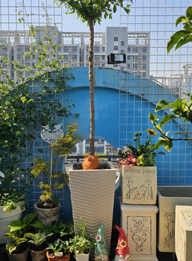微瑕捡漏35*75 灰白色千筒