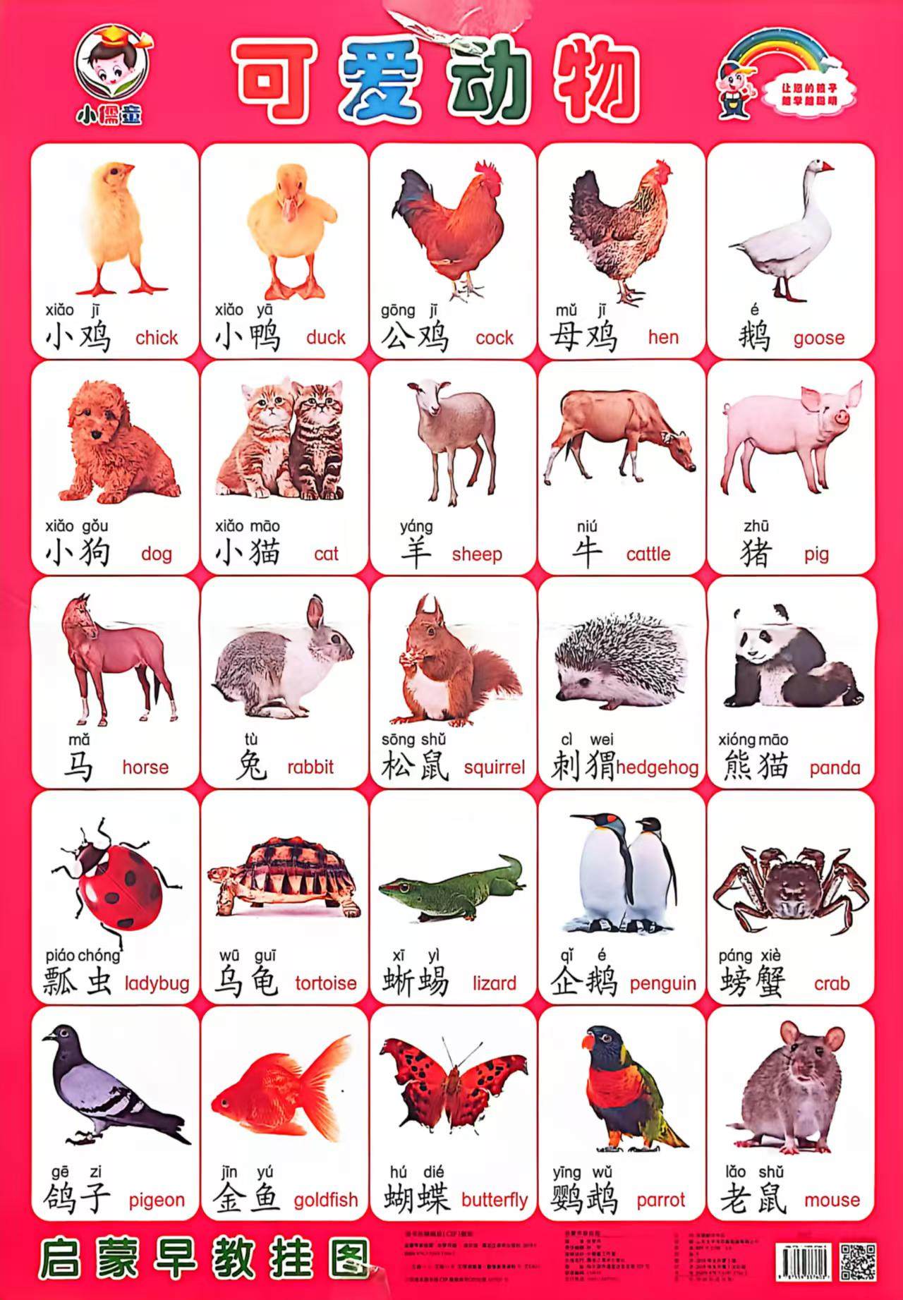 可爱动物挂图幼儿早教启蒙认知卡片宝宝看图识物墙贴,玩具/童车/益智/积木/模型,玩具挂图/认知卡,淘宝优惠券,粉丝福利购,淘宝优惠卷