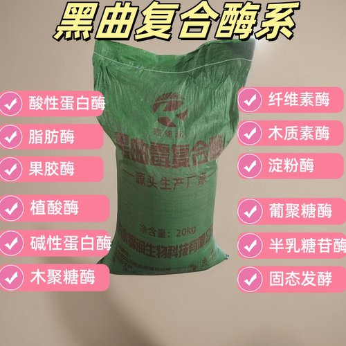 米曲黑曲复合酶发酵菌固态发酵