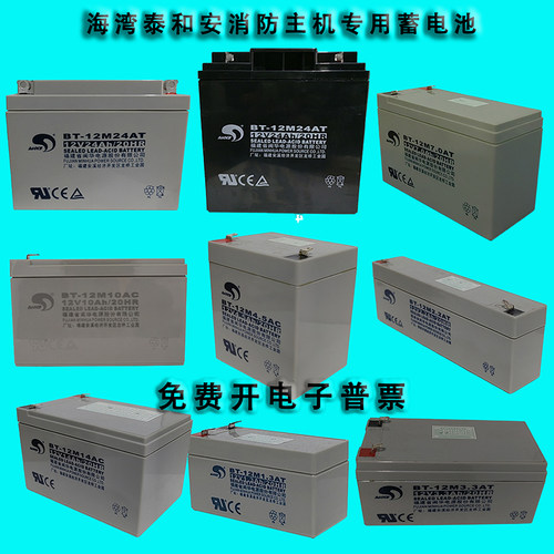 北大青鸟海湾泰和安消防主机气体主机柜应急照明集中电源蓄电池