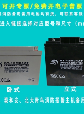 福建闽华BT-12M24AT赛特蓄电池12V24AH消防主机EPS应急电源直流屏
