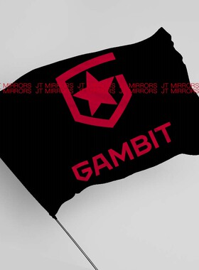VALORANT无畏契约Gambit Esports拳头游戏电子竞技俱乐部战队队旗
