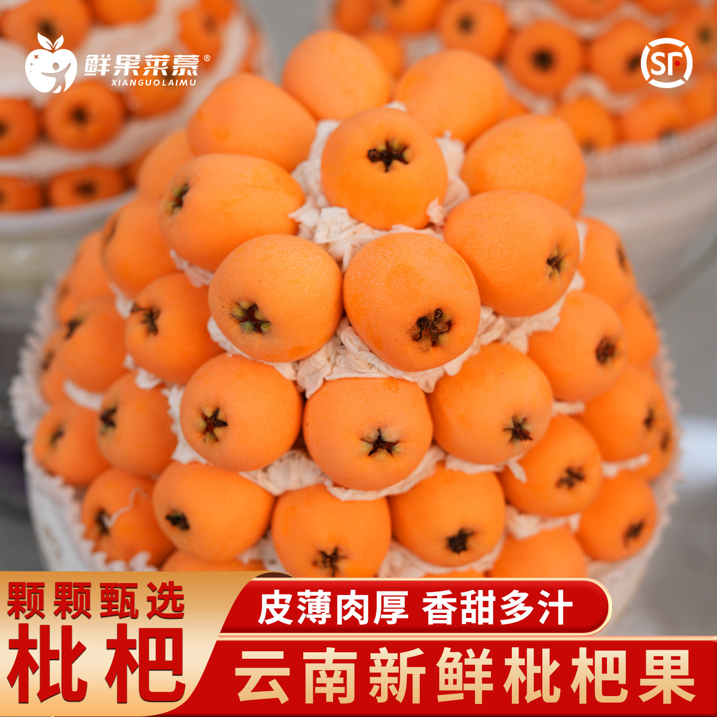 新鲜水果大五星枇杷香甜汁多包邮