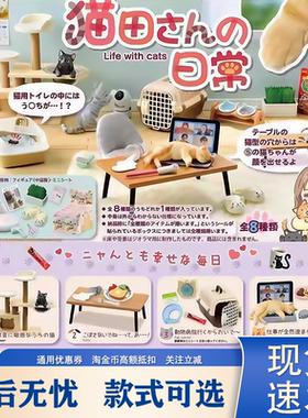 猫田桑微缩景观潮玩摆件我和猫咪日常生活公仔盲盒送女生日礼物