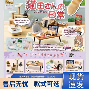 猫田桑微缩景观潮玩摆件我和猫咪日常生活公仔盲盒送女生日礼物